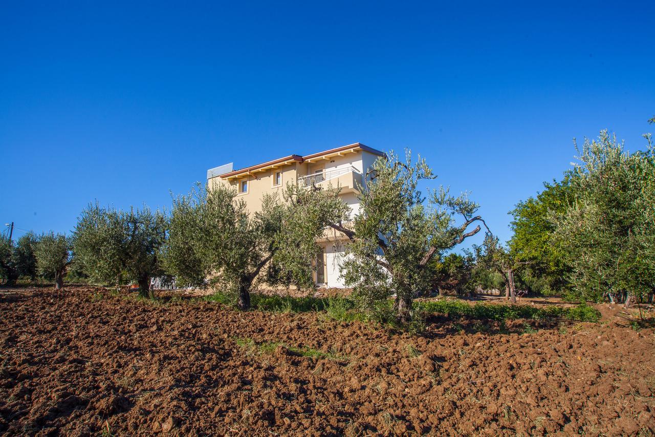 Il Gallo Con Gli Stivali Termoli Buitenkant foto