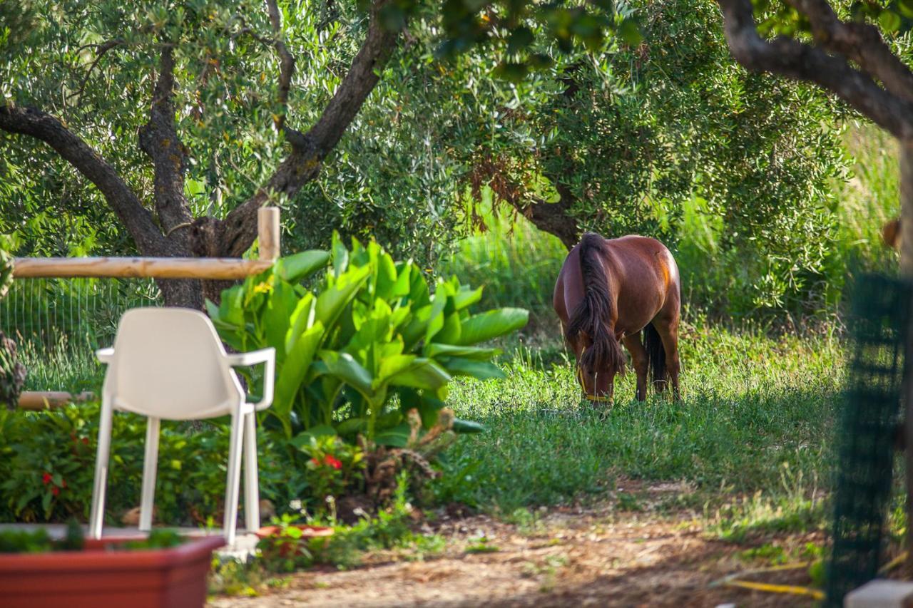 Il Gallo Con Gli Stivali Termoli Buitenkant foto