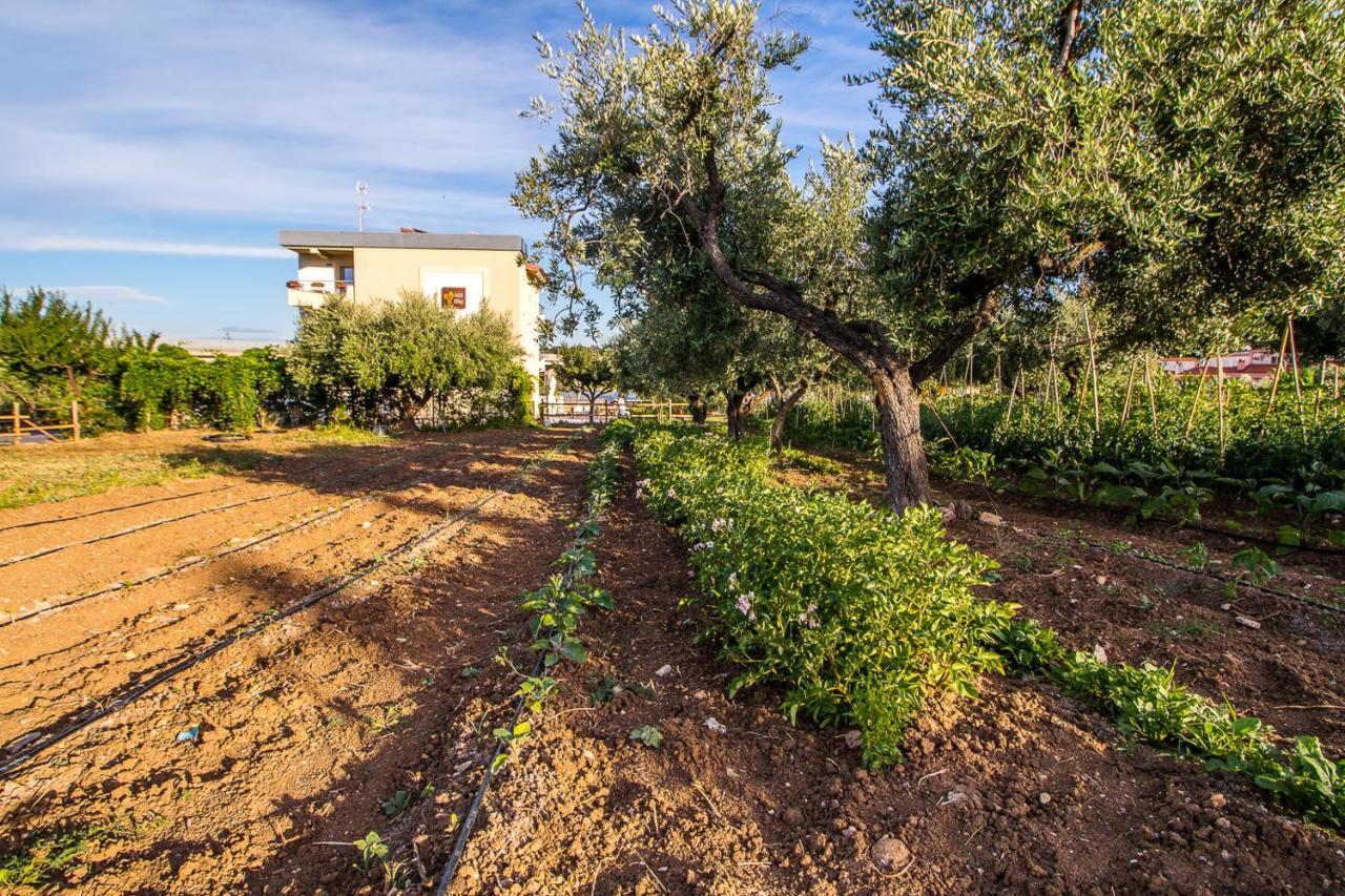 Il Gallo Con Gli Stivali Termoli Buitenkant foto