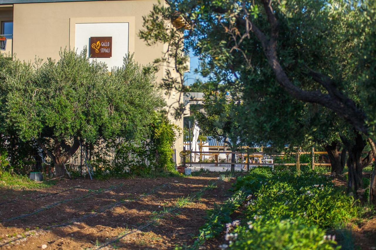 Il Gallo Con Gli Stivali Termoli Buitenkant foto